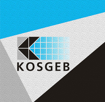 KOSGEB Consulting